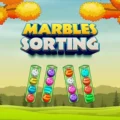 대리석 분류 Marbles Sorting